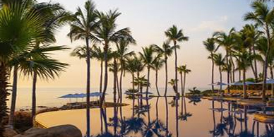 A row of palm trees in the water.