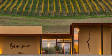 A winery with a view of the vineyard.