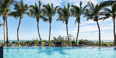 A pool with four palm trees and chairs in the background.