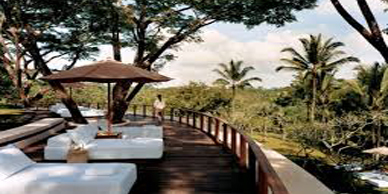 A person standing on top of a wooden deck.